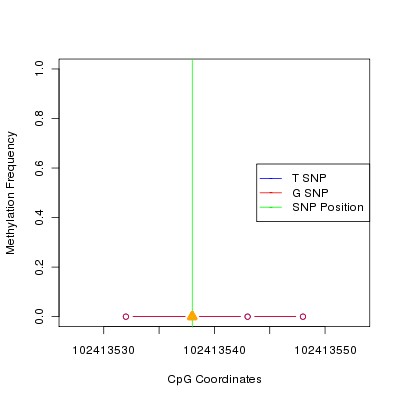 Allele Specific Methylation Frequency Diagram for chr12 102413538 SNP.