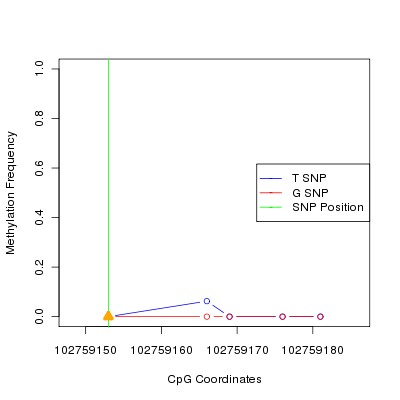 Allele Specific Methylation Frequency Diagram for chr12 102759153 SNP.