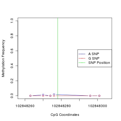 Allele Specific Methylation Frequency Diagram for chr12 102848278 SNP.