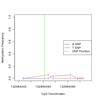 Allele Specific Methylation Frequency Diagram for chr12 102884061 SNP.