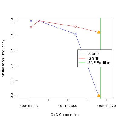 Allele Specific Methylation Frequency Diagram for chr12 103183667 SNP.