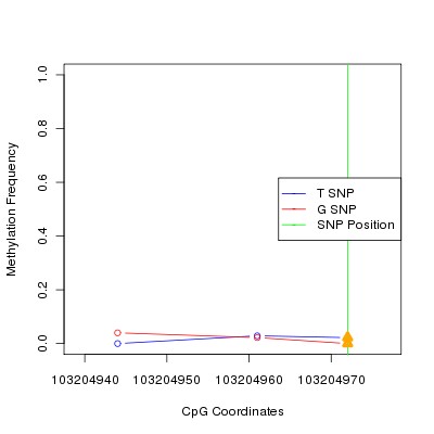 Allele Specific Methylation Frequency Diagram for chr12 103204972 SNP.