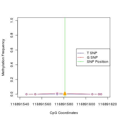 Allele Specific Methylation Frequency Diagram for chr12 116891581 SNP.