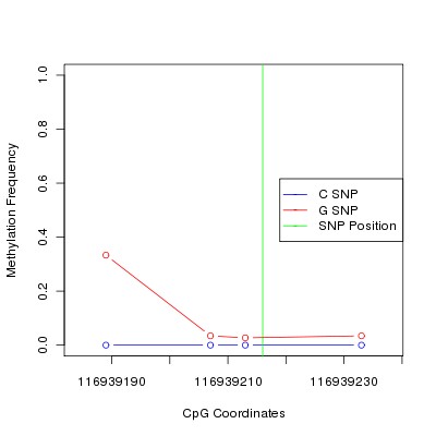 Allele Specific Methylation Frequency Diagram for chr12 116939216 SNP.