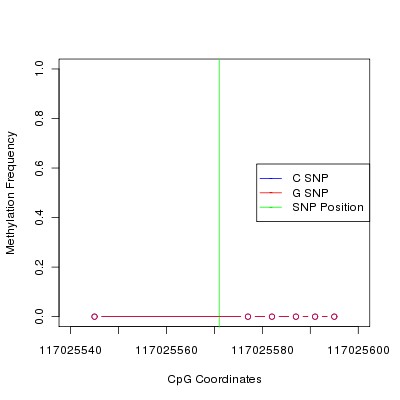 Allele Specific Methylation Frequency Diagram for chr12 117025571 SNP.