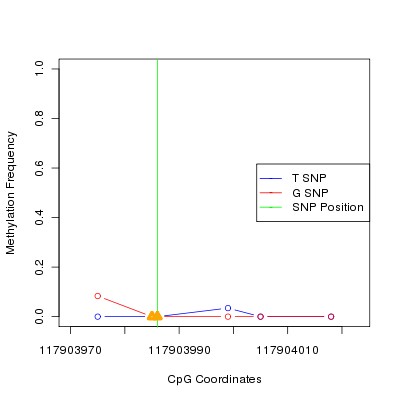 Allele Specific Methylation Frequency Diagram for chr12 117903986 SNP.