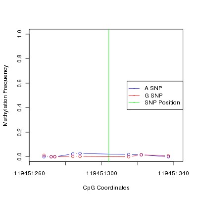 Allele Specific Methylation Frequency Diagram for chr12 119451304 SNP.