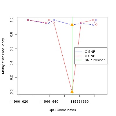 Allele Specific Methylation Frequency Diagram for chr12 119661655 SNP.