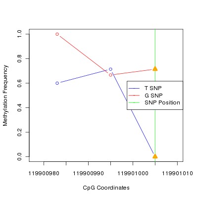 Allele Specific Methylation Frequency Diagram for chr12 119901005 SNP.