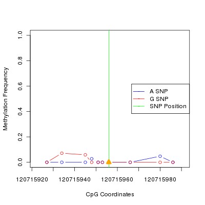 Allele Specific Methylation Frequency Diagram for chr12 120715956 SNP.