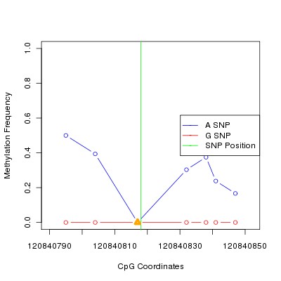 Allele Specific Methylation Frequency Diagram for chr12 120840818 SNP.