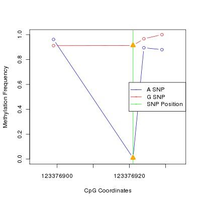 Allele Specific Methylation Frequency Diagram for chr12 123376921 SNP.