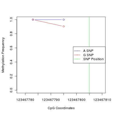 Allele Specific Methylation Frequency Diagram for chr12 123467805 SNP.