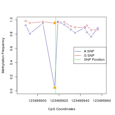 Allele Specific Methylation Frequency Diagram for chr12 123495917 SNP.