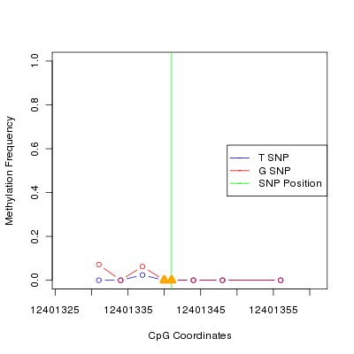 Allele Specific Methylation Frequency Diagram for chr12 12401341 SNP.