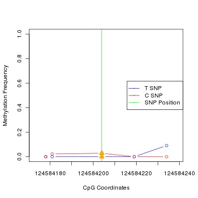 Allele Specific Methylation Frequency Diagram for chr12 124584204 SNP.