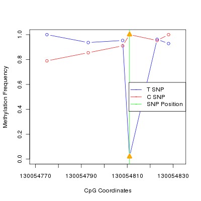 Allele Specific Methylation Frequency Diagram for chr12 130054811 SNP.