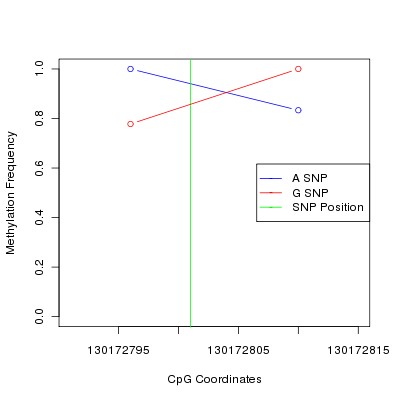 Allele Specific Methylation Frequency Diagram for chr12 130172801 SNP.