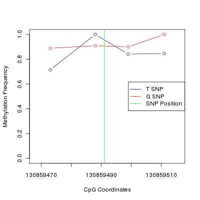 Allele Specific Methylation Frequency Diagram for chr12 130859491 SNP.