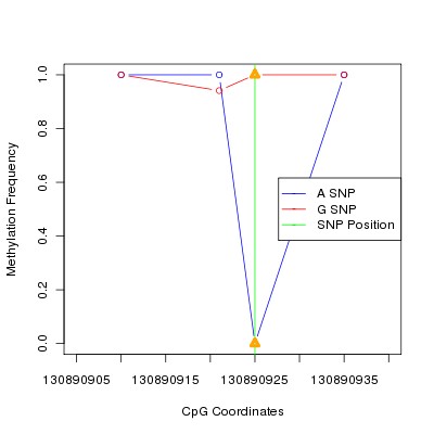 Allele Specific Methylation Frequency Diagram for chr12 130890925 SNP.