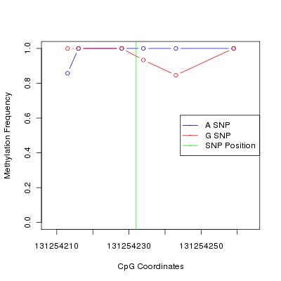 Allele Specific Methylation Frequency Diagram for chr12 131254232 SNP.