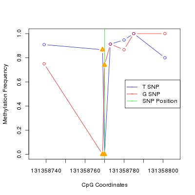 Allele Specific Methylation Frequency Diagram for chr12 131358770 SNP.