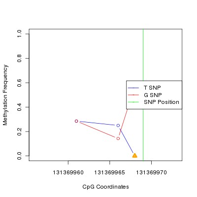 Allele Specific Methylation Frequency Diagram for chr12 131369969 SNP.