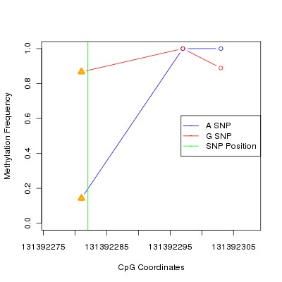 Allele Specific Methylation Frequency Diagram for chr12 131392282 SNP.