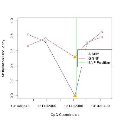 Allele Specific Methylation Frequency Diagram for chr12 131432382 SNP.
