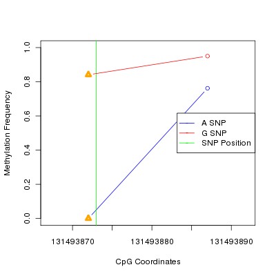 Allele Specific Methylation Frequency Diagram for chr12 131493873 SNP.