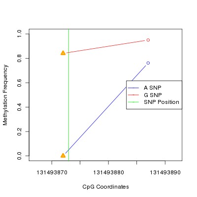 Allele Specific Methylation Frequency Diagram for chr12 131493873 SNP.