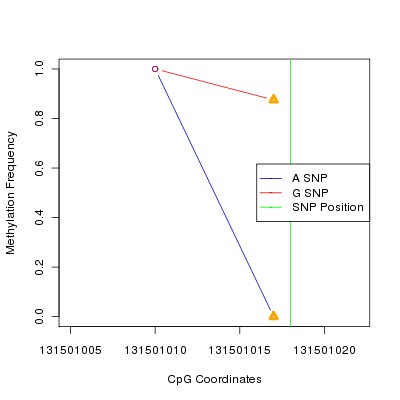 Allele Specific Methylation Frequency Diagram for chr12 131501018 SNP.