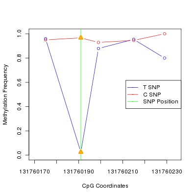 Allele Specific Methylation Frequency Diagram for chr12 131760191 SNP.