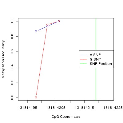 Allele Specific Methylation Frequency Diagram for chr12 131814219 SNP.