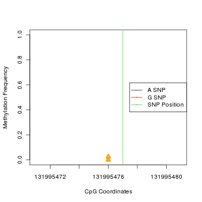 Allele Specific Methylation Frequency Diagram for chr12 131995477 SNP.