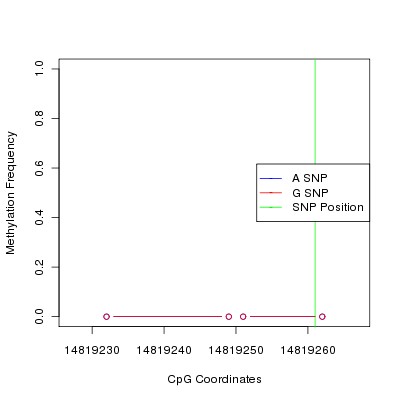 Allele Specific Methylation Frequency Diagram for chr12 14819261 SNP.