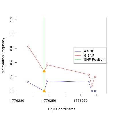 Allele Specific Methylation Frequency Diagram for chr12 1776247 SNP.