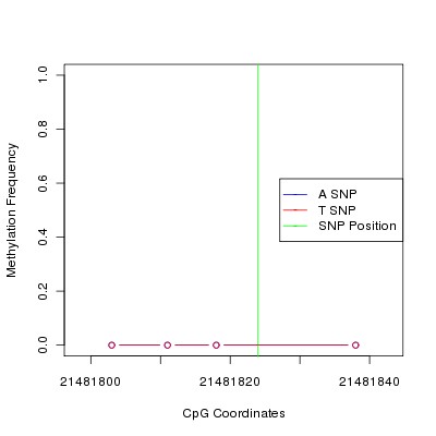 Allele Specific Methylation Frequency Diagram for chr12 21481824 SNP.