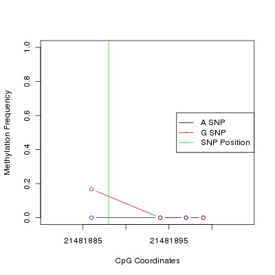 Allele Specific Methylation Frequency Diagram for chr12 21481888 SNP.