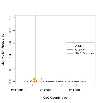 Allele Specific Methylation Frequency Diagram for chr12 26166822 SNP.