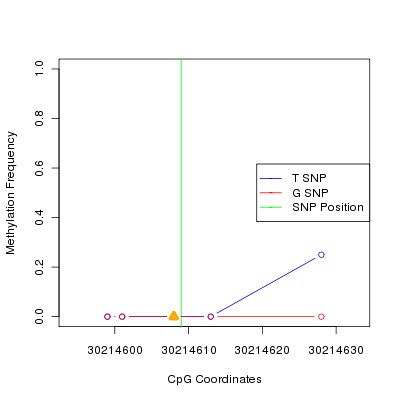 Allele Specific Methylation Frequency Diagram for chr12 30214609 SNP.