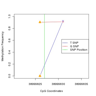 Allele Specific Methylation Frequency Diagram for chr12 38999827 SNP.