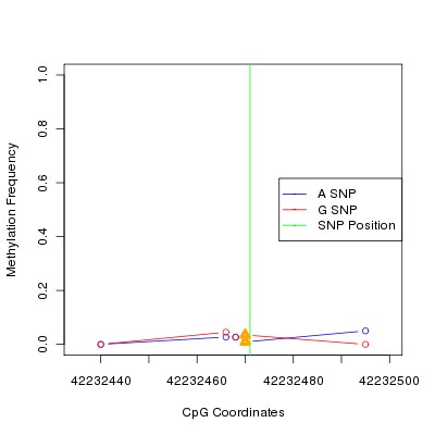 Allele Specific Methylation Frequency Diagram for chr12 42232471 SNP.