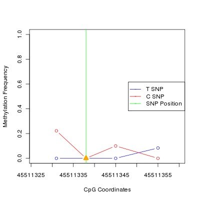 Allele Specific Methylation Frequency Diagram for chr12 45511338 SNP.