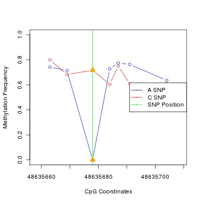 Allele Specific Methylation Frequency Diagram for chr12 48635678 SNP.