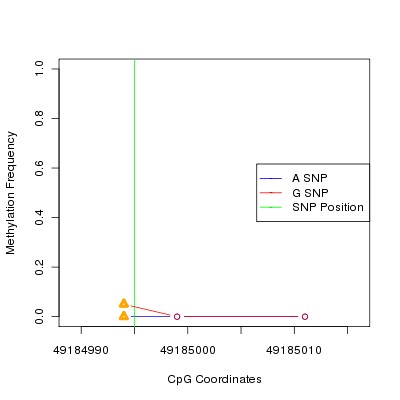 Allele Specific Methylation Frequency Diagram for chr12 49184995 SNP.