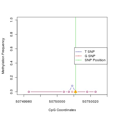 Allele Specific Methylation Frequency Diagram for chr12 50750011 SNP.