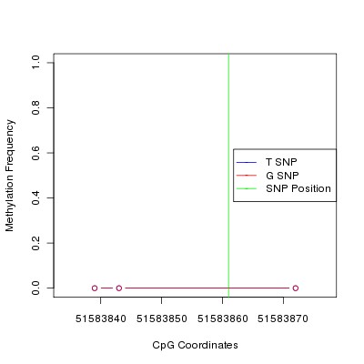 Allele Specific Methylation Frequency Diagram for chr12 51583861 SNP.