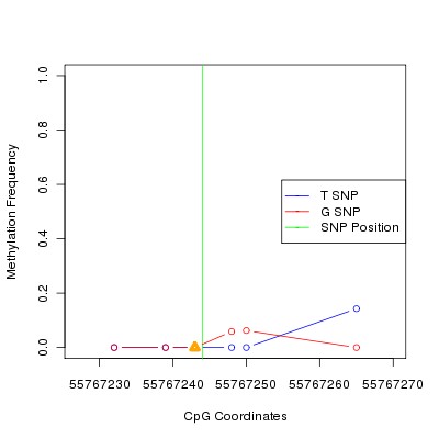 Allele Specific Methylation Frequency Diagram for chr12 55767244 SNP.