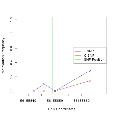 Allele Specific Methylation Frequency Diagram for chr12 56155849 SNP.